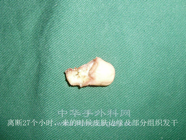 P8130490_副本.jpg