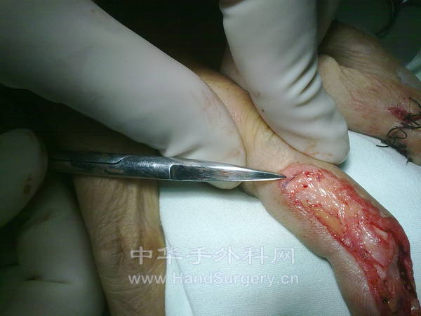 20121006577.jpg