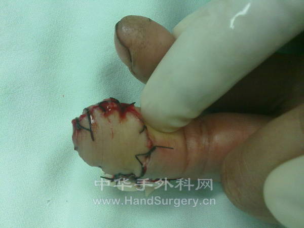 20121108910.jpg