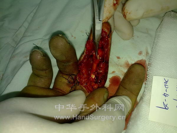 20120429933.jpg