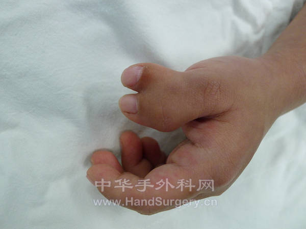 P1040285_副本.jpg