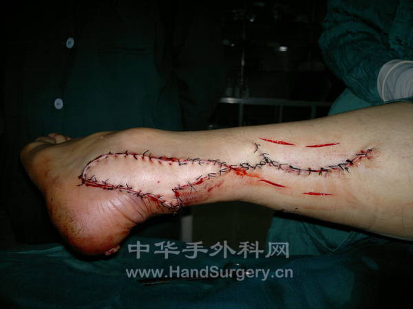 20121026262.jpg