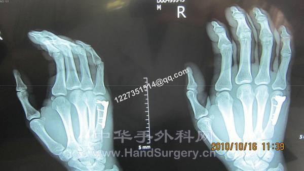 照片 110.jpg