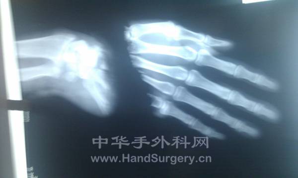 IMAG0209.jpg