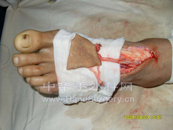 SDC13041.jpg