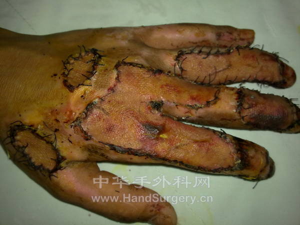 20120506167.jpg