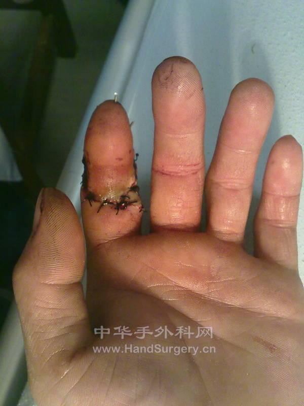 201211301203.jpg