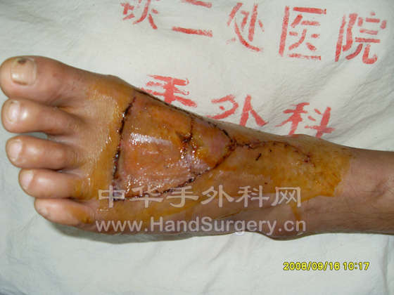 SDC13105.jpg