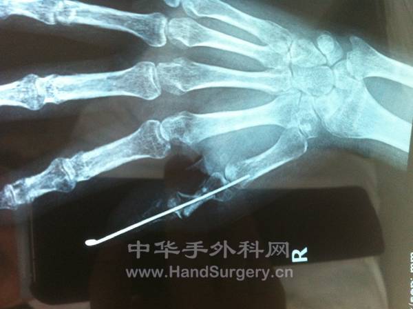 照片 677.jpg