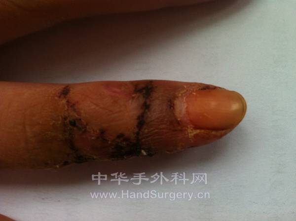 照片 557.jpg
