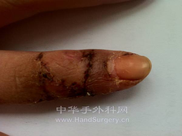 照片 558.jpg