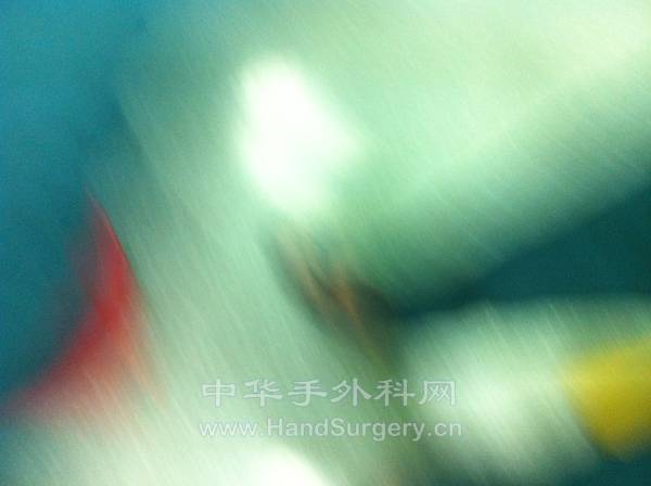 照片 332.jpg