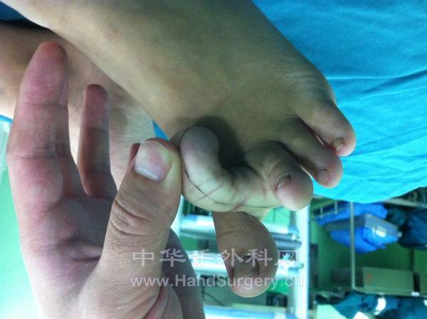 照片 336.jpg