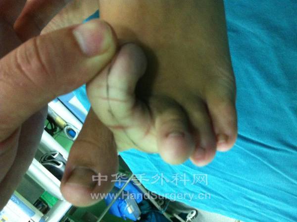 照片 337.jpg