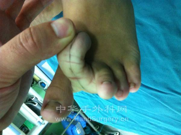 照片 338.jpg