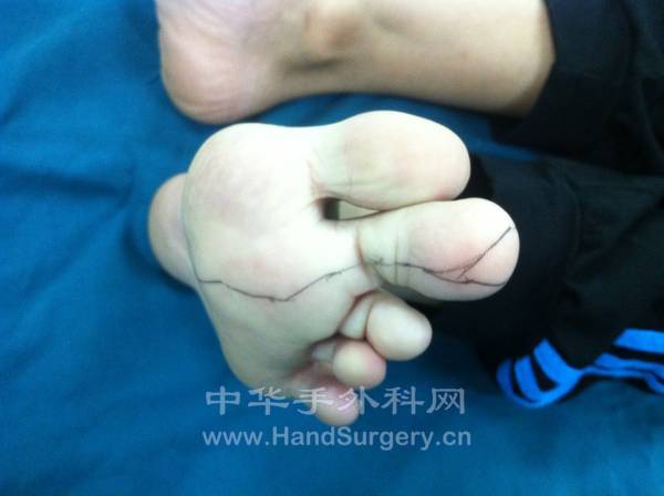 照片 339.jpg