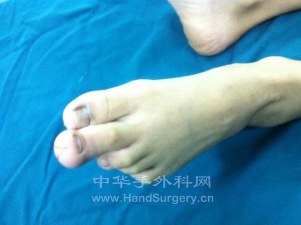 照片 340.jpg