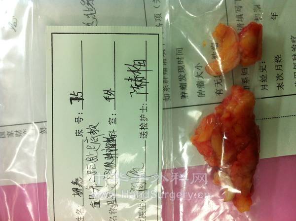 照片 345.jpg