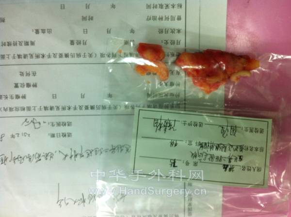 照片 346.jpg