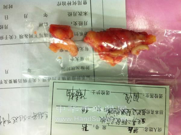 照片 347.jpg