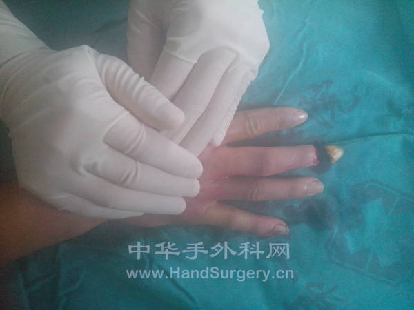 IMG_20121109_121301.jpg