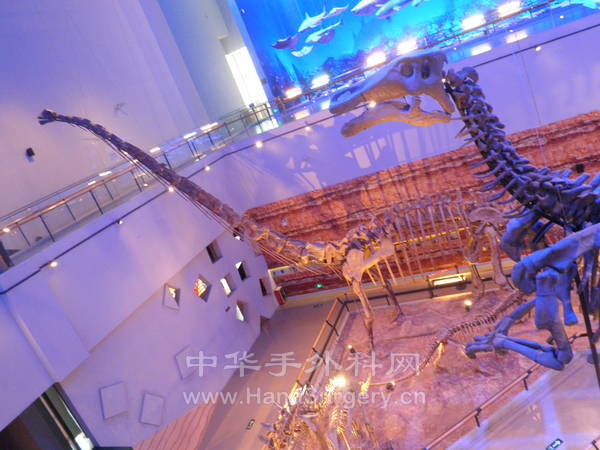 PB210243.JPG