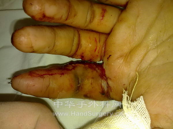 201212101346.jpg