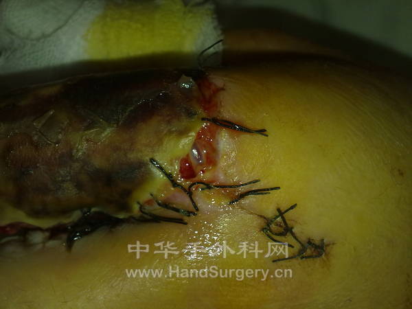 201212061279.jpg