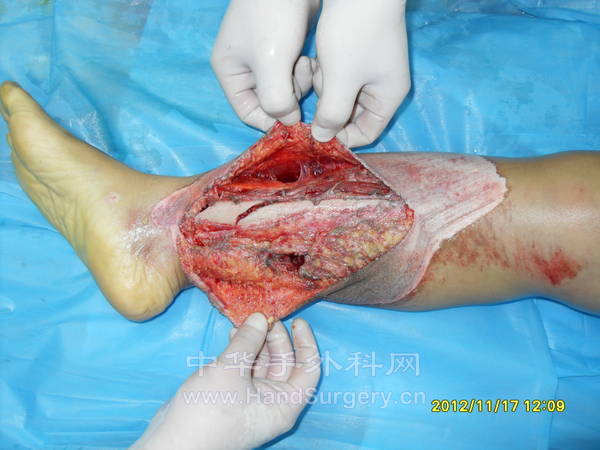 SDC13263.JPG
