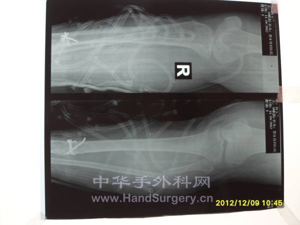 SDC13400.JPG