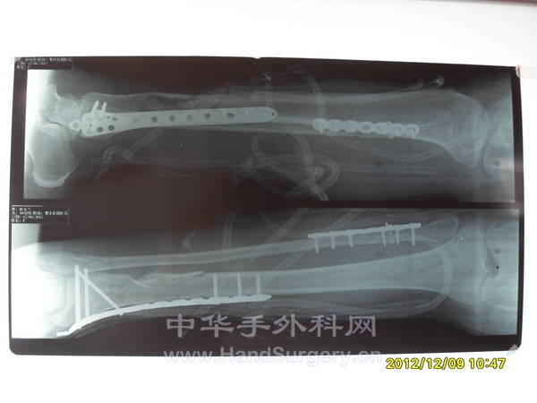 SDC13402.JPG
