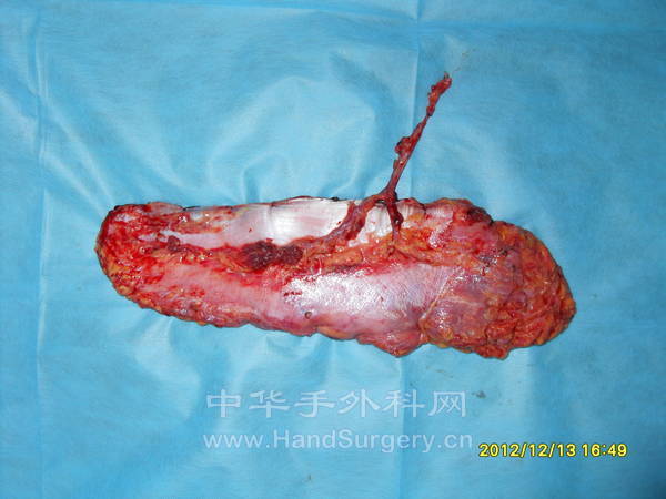 SDC13419.JPG