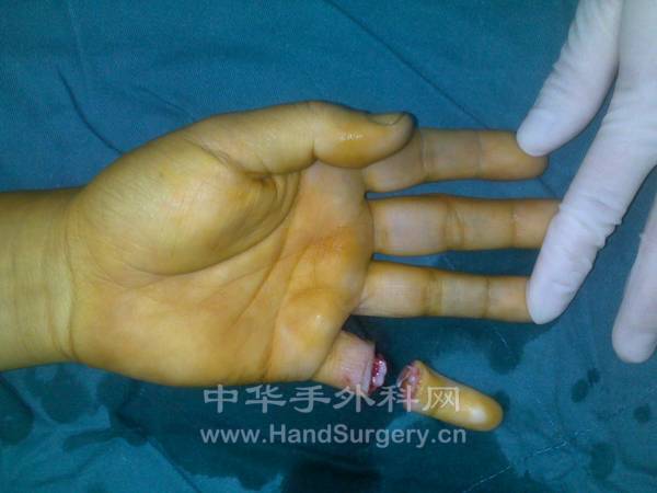 201212021986.jpg