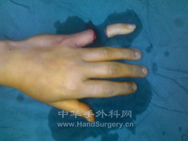 201212021987.jpg