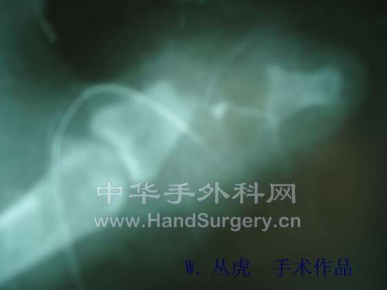 P1010050 拷贝.jpg