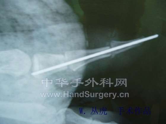 P1010117 拷贝.jpg
