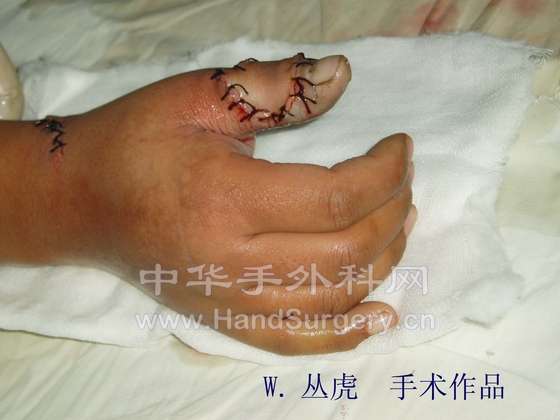 p1010183 拷贝.jpg