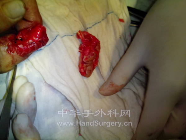 IMG_20121205_064158.jpg