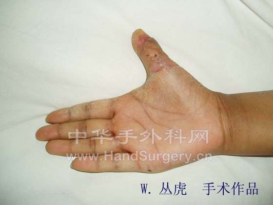 P1010235 拷贝.jpg