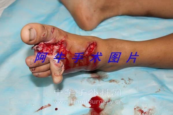 img_1589[1].jpg