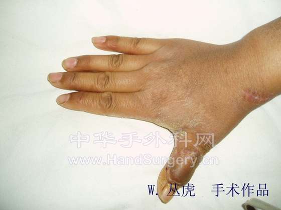 P1010238 拷贝.jpg