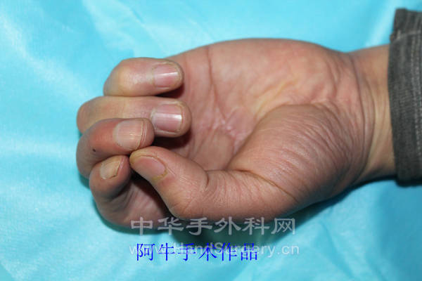 600D 015_副本.jpg