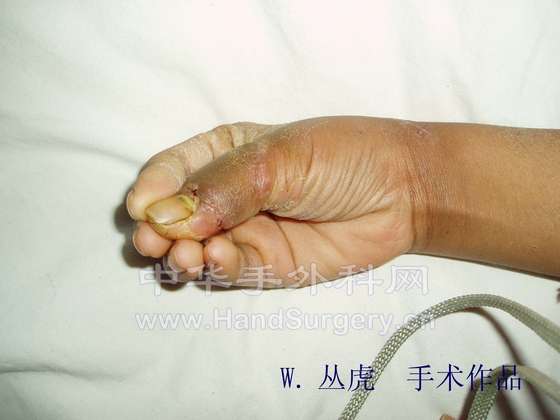 P1010243 拷贝.jpg