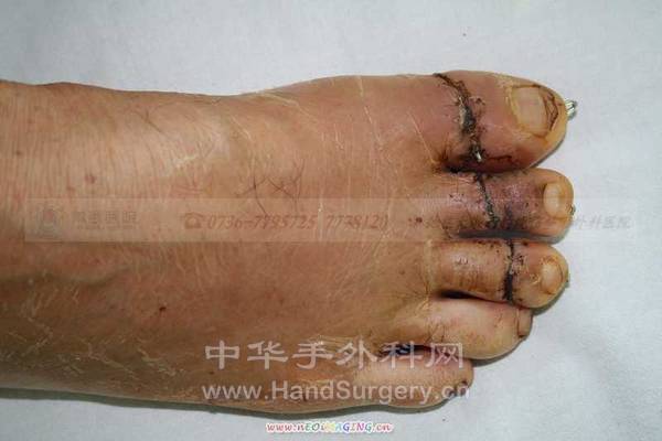 照片 137.jpg