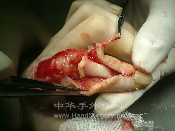 201212181413.jpg