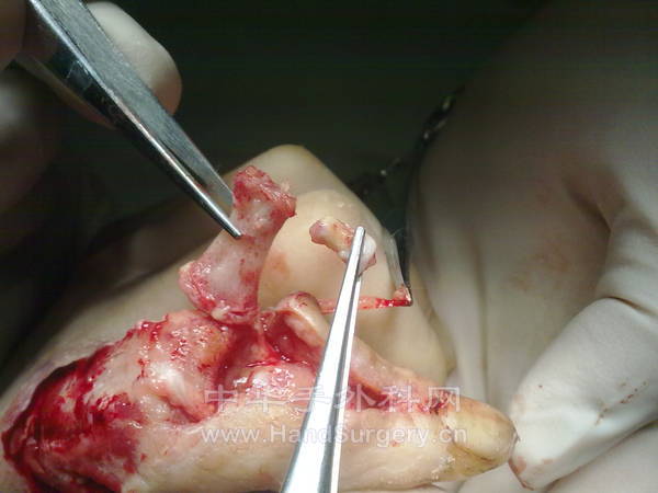 201212181418.jpg