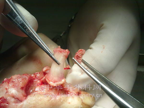 201212181419.jpg
