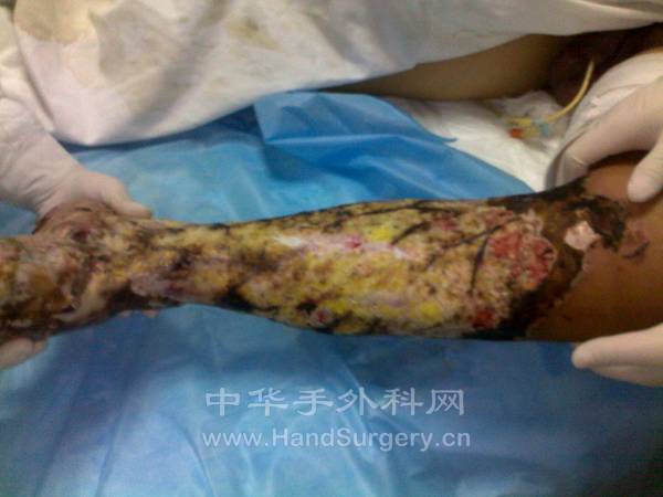 20121202390.jpg