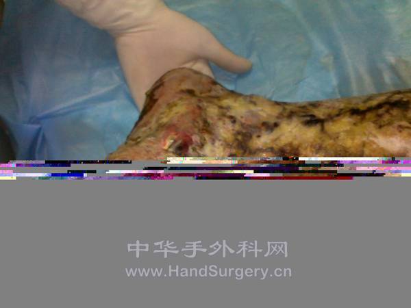 20121202391.jpg