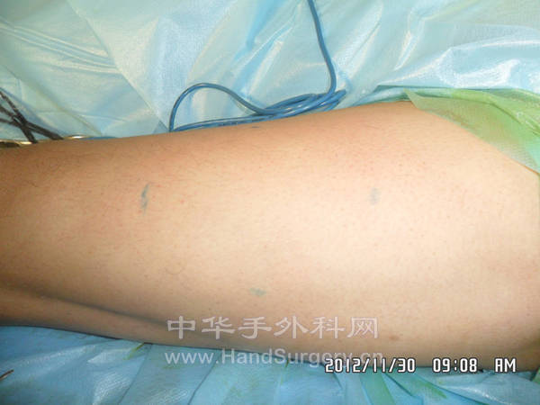 SAM_2515_副本.jpg